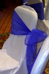 royal_blue_-side_tied_single_bow
