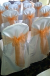 orange_organza_