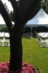 ivory_wrap_garden_ceremony