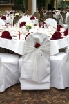 red_rose_insert