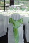 apple_green_sashes