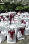 wine_organza_sashes