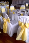 yellow_taffeta